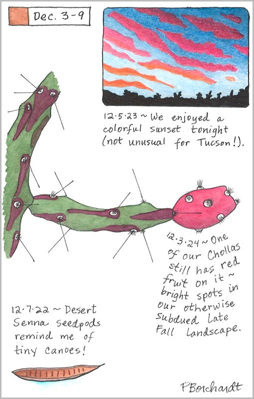 Perpetual Journal, week of Dec. 3-9: Cholla with Red Fruit (2024); Colorful Sunset (2023); Desert Senna Seedpod (2022) Perpetual Journal, week of Dec. 3-9: Cholla with Red Fruit (2024); Colorful Sunset (2023); Desert Senna Seedpod (2022)