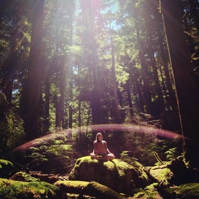 This may contain: a person sitting on top of a rock in the middle of a forest filled with trees