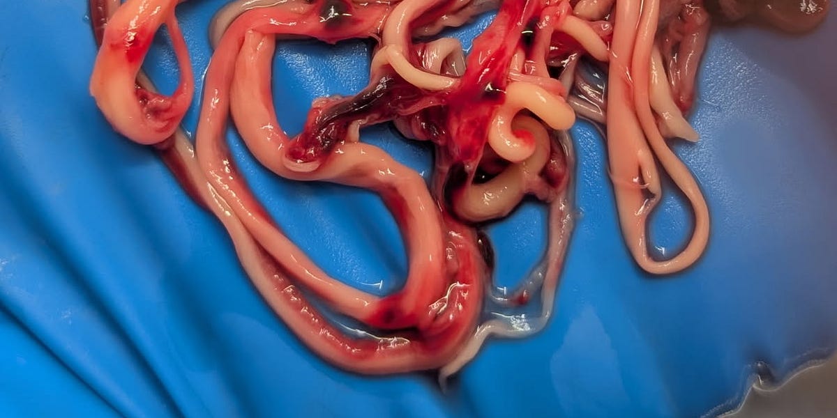 The devil was hard at work trying to stop the truth from coming out