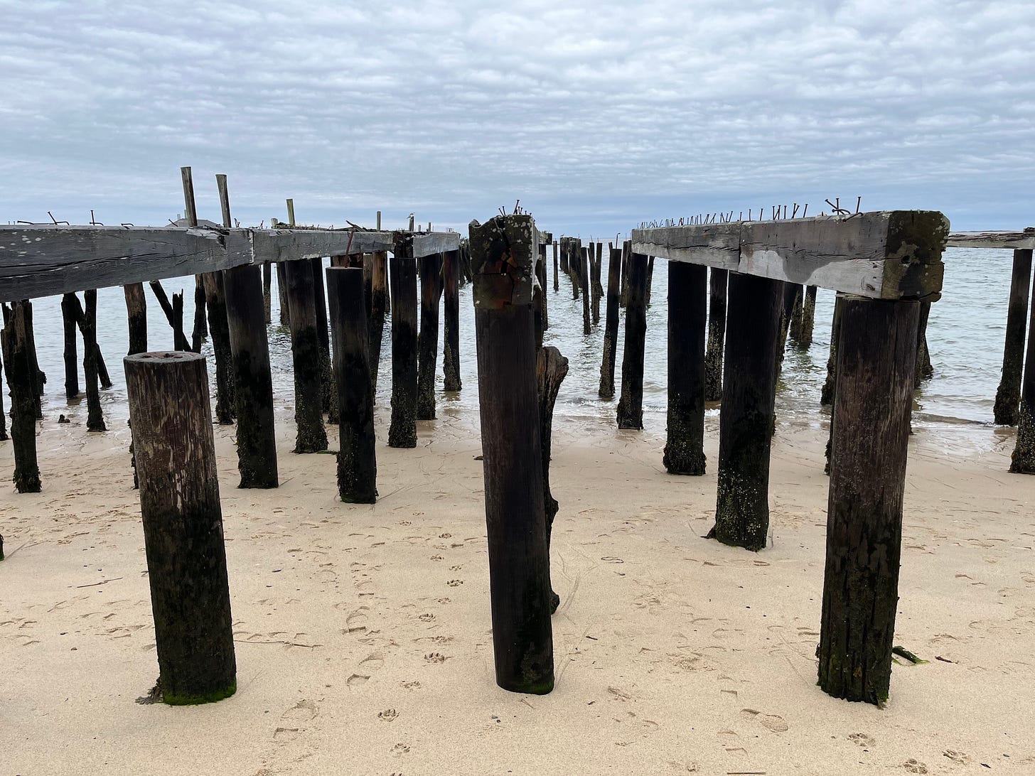 the beach in provincetown, ma