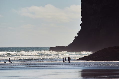 Bethells Beach
