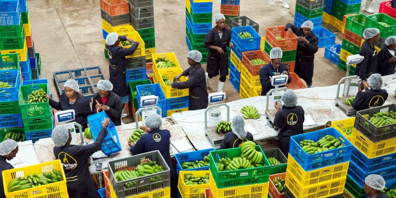 Established in 2014, Kenya-based Twiga Foods connects farmers and small shopkeepers via a mobile app.