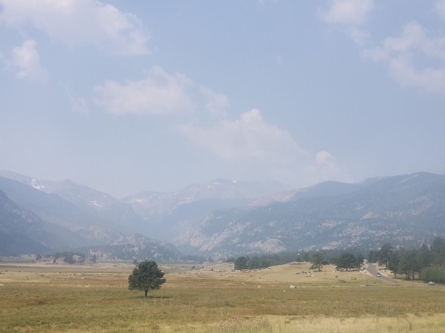 Mountains in the distance, and a yellow field with a single close tree. Everything is hazy, including the gray sky with clouds, due to wildfire smoke.