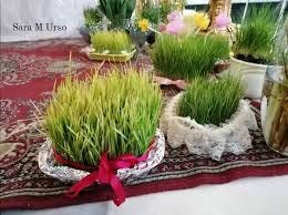 Sicilia - U Laureddu. Antica Tradizione di Pasqua i germogli di grano  preparato per addobbare il Santo Sepolcro il Giovedì Santo. Foto Sara Marie  Urso. | Facebook