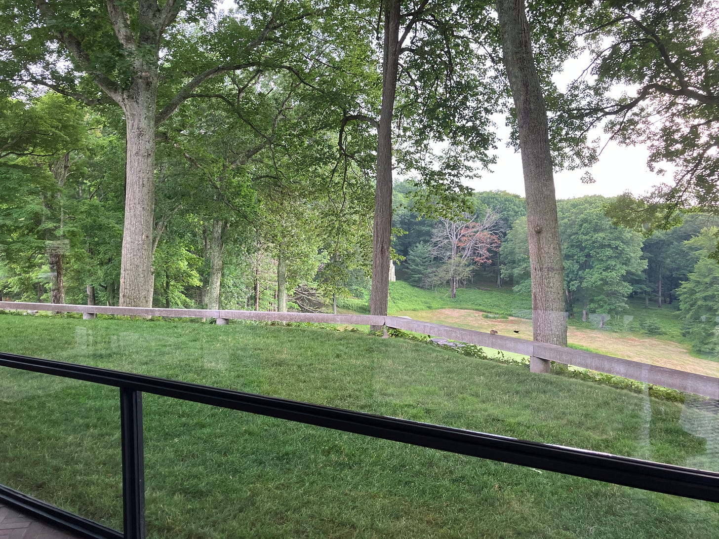 photograph from inside a glass house with trees and green foliage outside and view of low perimeter wall photograph from inside a glass house with trees and green foliage outside and view of low perimeter wall