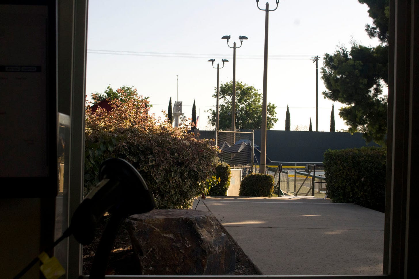 a photo of a bush and some lights in the background