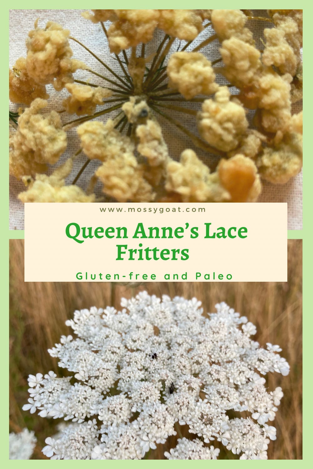 queen-anne's-lace-fritters-pinterest.png