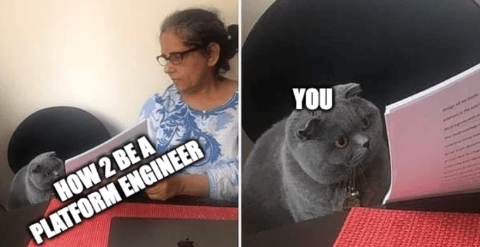 Top 5 memes of 2025 Top 5 memes of 2025