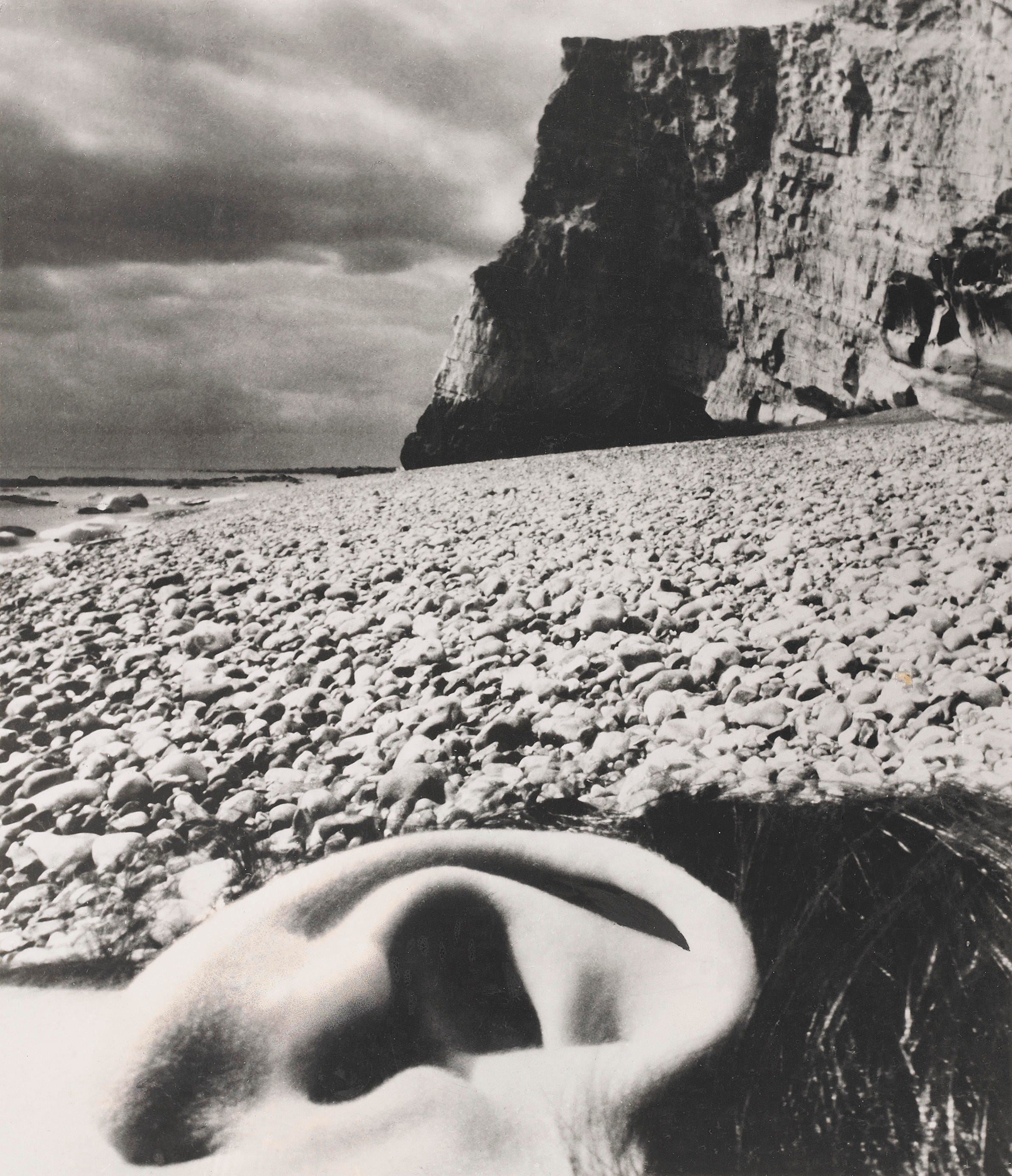 The Photographer's Eye by John Szarkowski - by Neil Scott