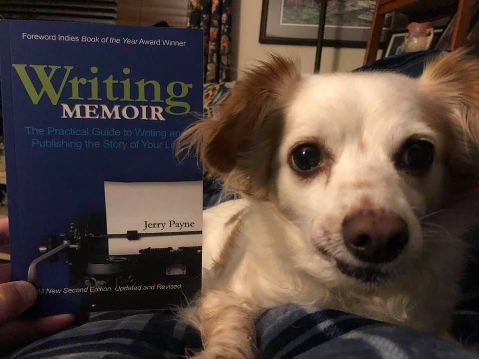May be an image of dog and text May be an image of dog and text