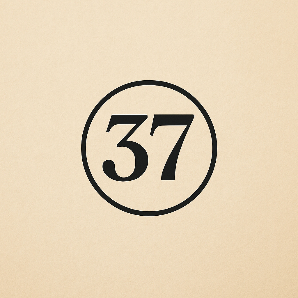 37 - A novel in progess