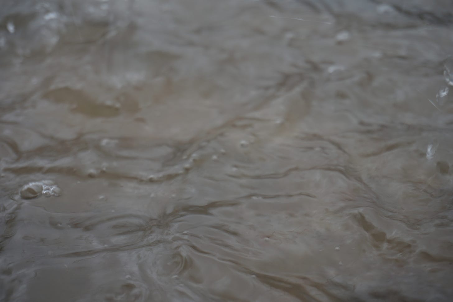 Close up photo of a rain puddle
