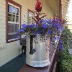 South Store Cafe Plants Linda Kissam explores Oregon's Great Grapes