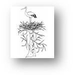 Artwork for Kenn’s Newsletter