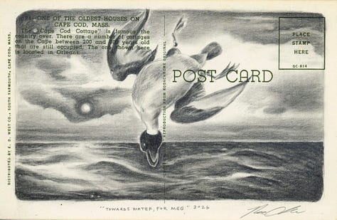 pencil drawings of animals and nature scenes on vintage postcards