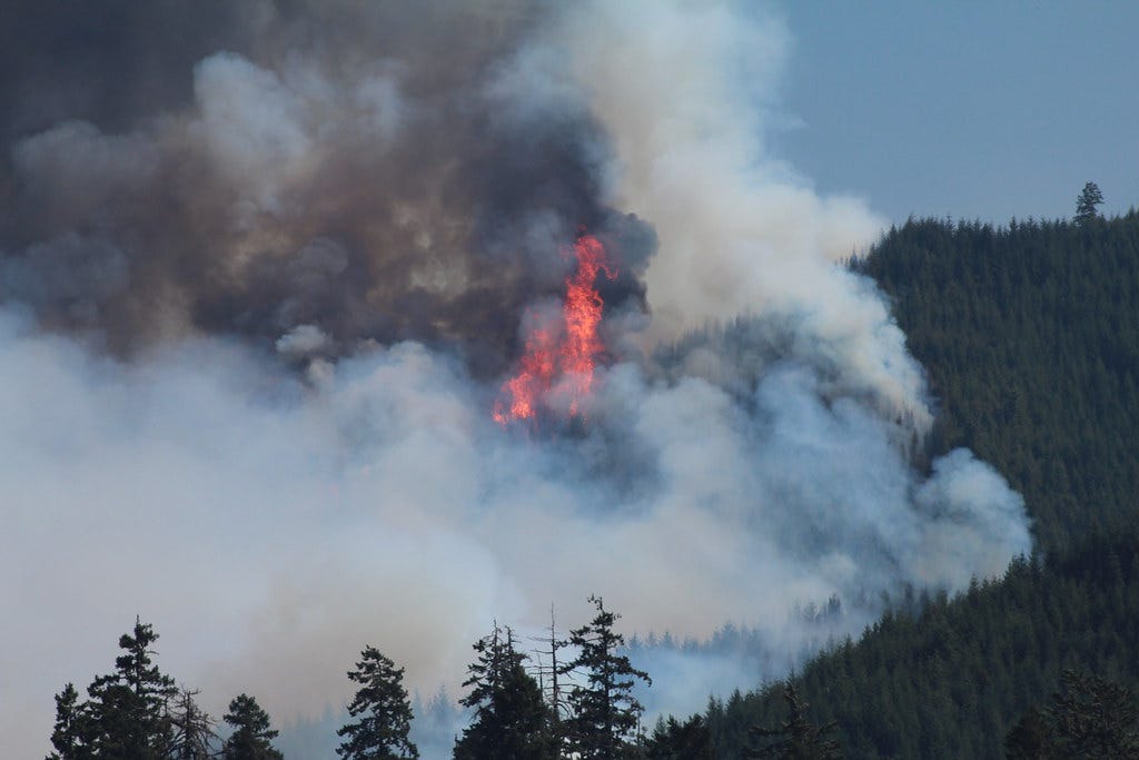Air attack on southern Oregon wildfire -- 2015