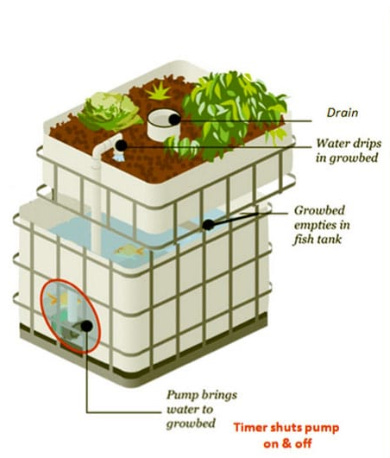Diagram

Description automatically generated