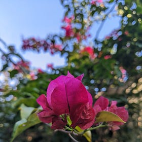 Summer Slowdown