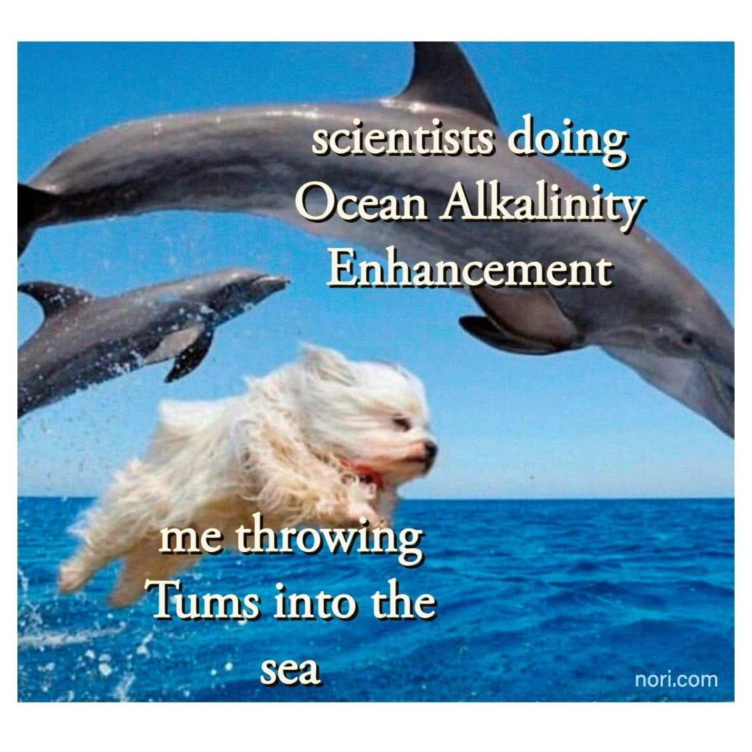 Dolphins leaping from the ocean labelled "scientists doing Ocean Alkalinity Enhancement", with a small fluffy dog leaping beside them labelled "me throwing Tums into the sea".