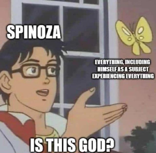 r/PhilosophyMemes - Spinoza's God