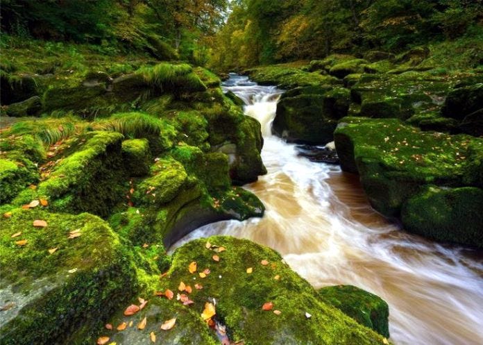 Bolton Strid: o trecho de água mais traiçoeiro e mortal do mundo. Bolton Strid: o trecho de água mais traiçoeiro e mortal do mundo.