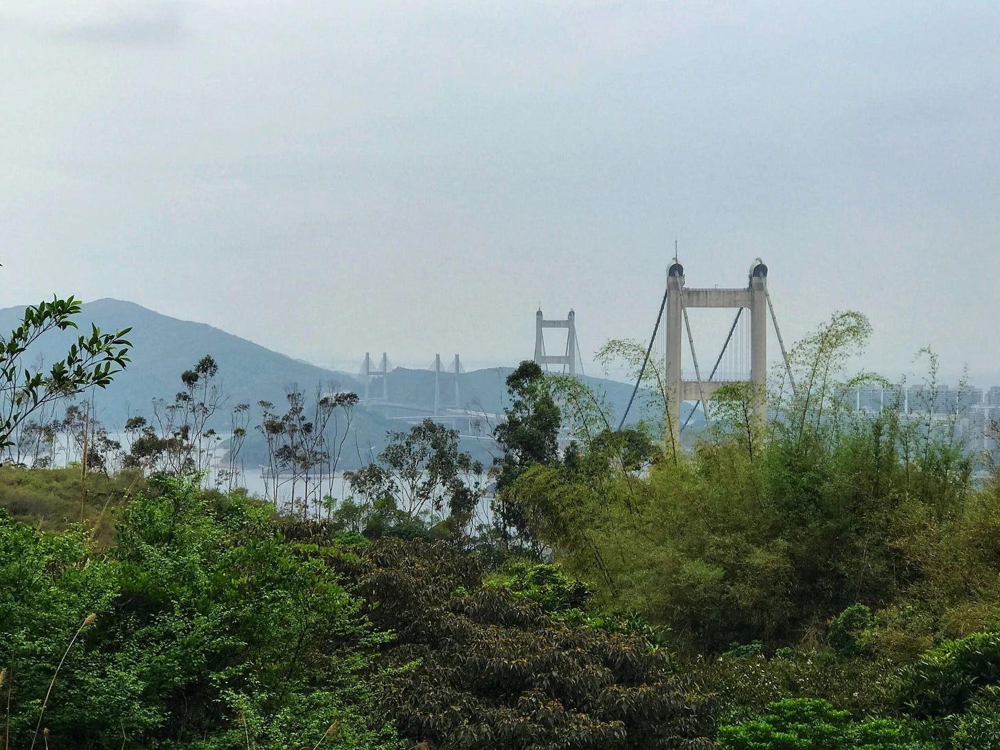 Views of Tsing Ma Bridge from Tsing Yi Nature Trails Views of Tsing Ma Bridge from Tsing Yi Nature Trails