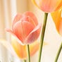 Daily Meditation's avatar