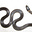 July Robinson's avatar