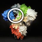 How to Block Spike Proteins