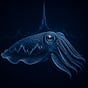 CuttleFish Research's avatar