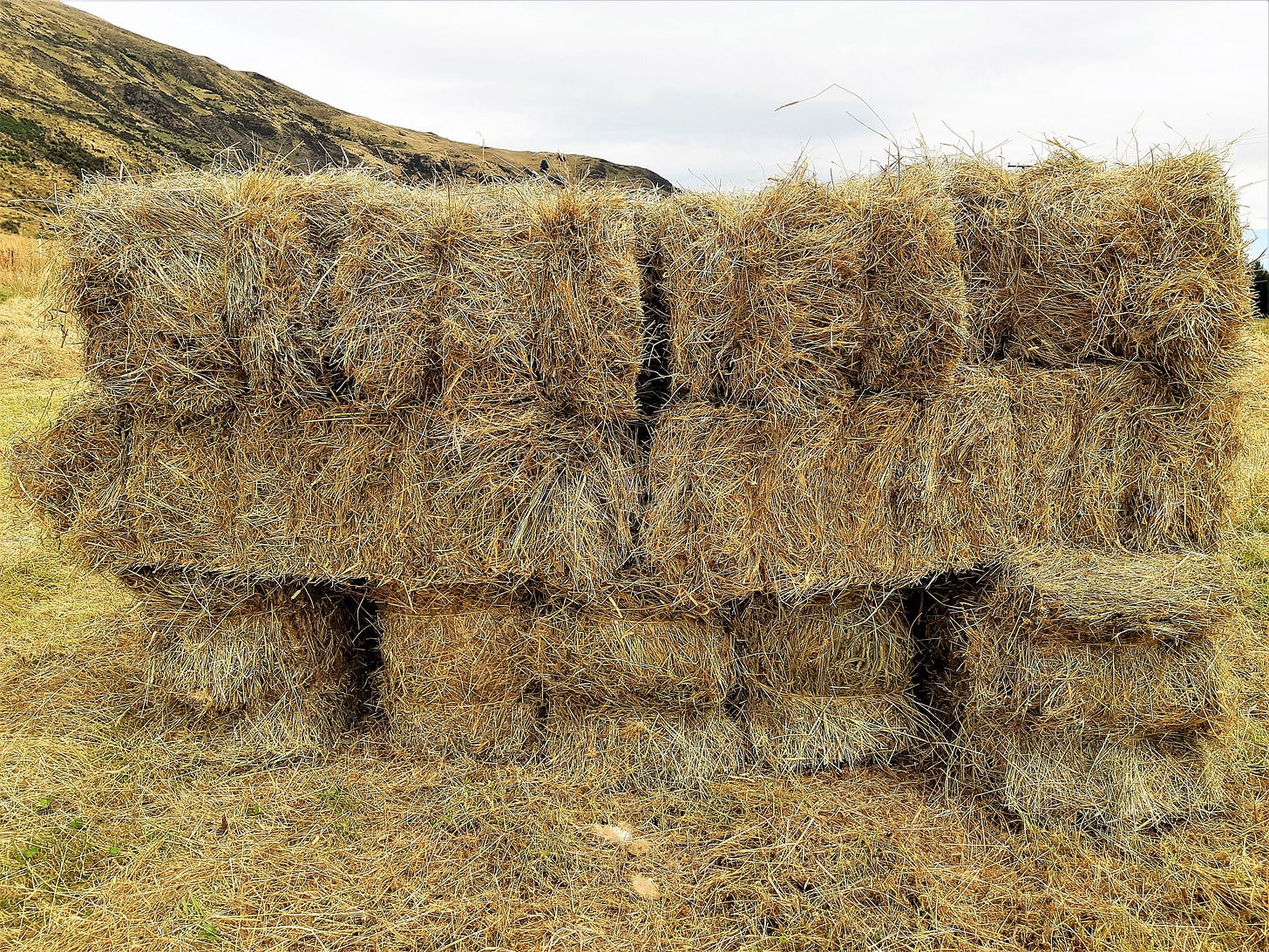 13 rectangular hay bales stacked 3 rows high to form a stook. 13 rectangular hay bales stacked 3 rows high to form a stook.