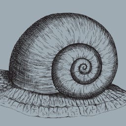 Slow Writing