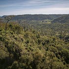 Paraguay’s Forest Guardians Are Under Fire