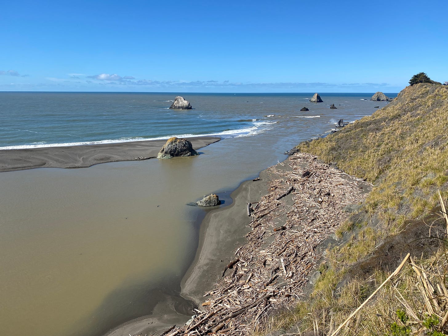 Brown river water almost to a deep-blue horizon along a rugged coastline