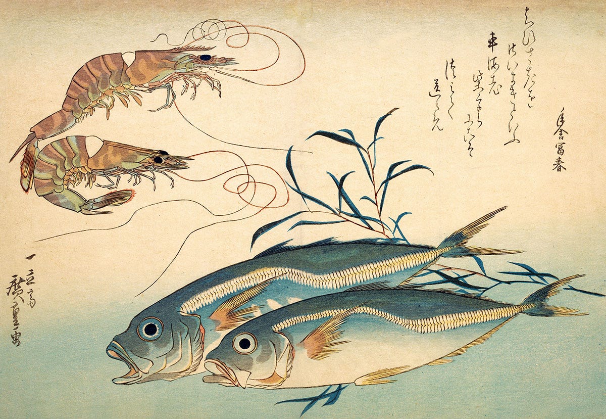 A Short History of Sushi | History Today