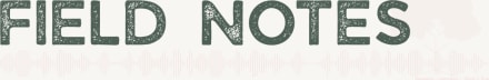 Field Notes on Care