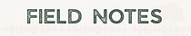 Field Notes on Care