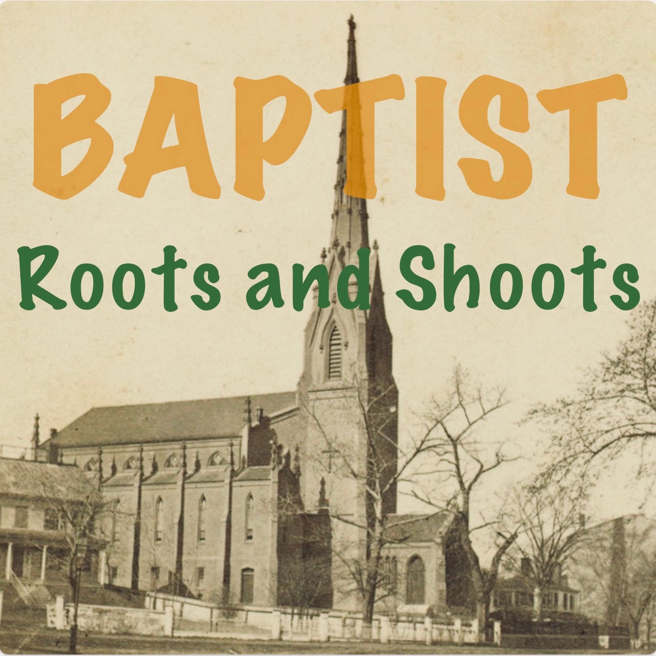 Baptist Roots and Shoots