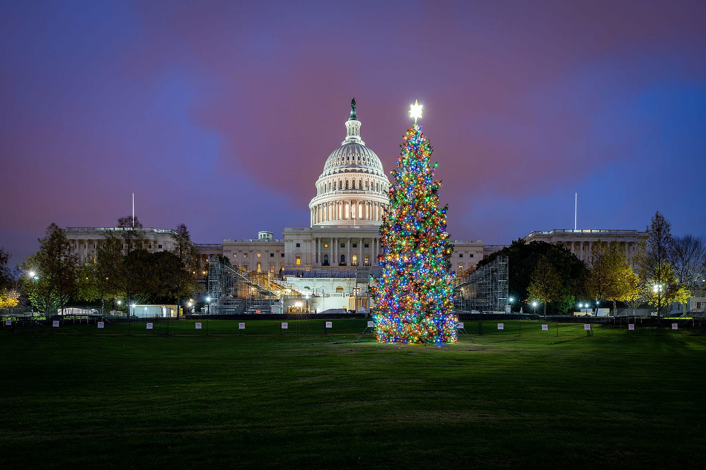 A Christmas tree lit up on the lawn outside the US Capitol building in a dark night sky that contrasts the festive lights with a sense of foreboding.