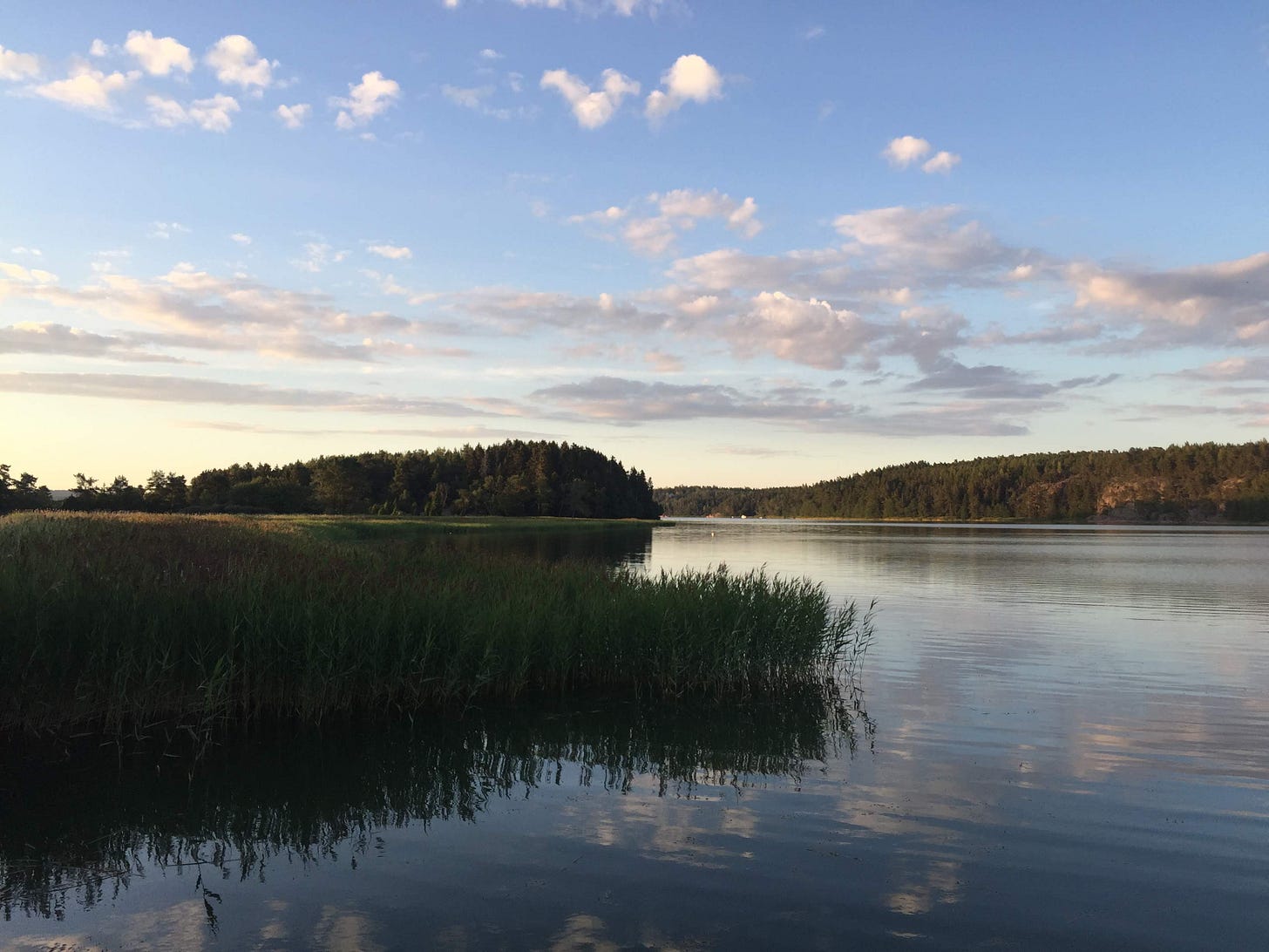 Foreground is water with clouds reflected in it, with green reeds, water leading off into the distance with a light blue sky and white hanging clouds. Forested sections in the middle distance