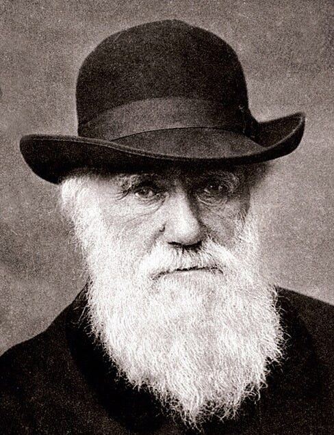 File:Charles Darwin 1880.jpg