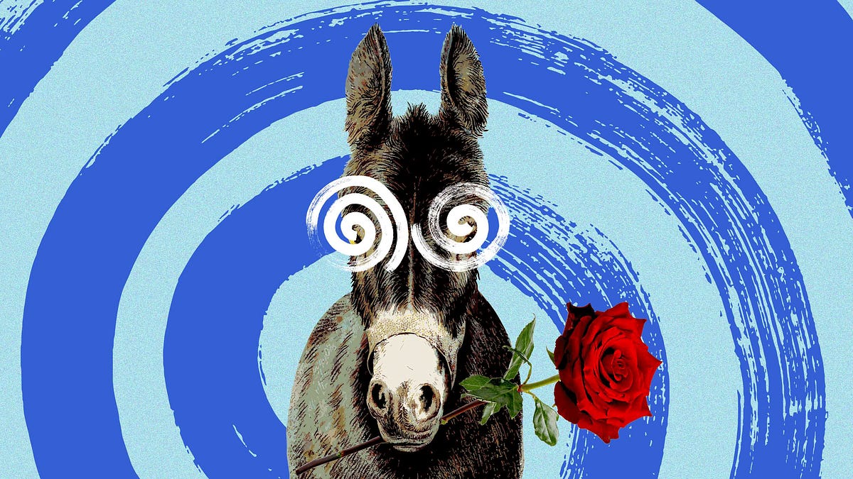 Is the DSA a Republican Psy-Op?