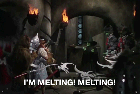 Pin on LolPic & Funny Videos Pin on LolPic & Funny Videos