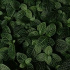 Translating Your PhD Skills Into a New Career | Ep. 19