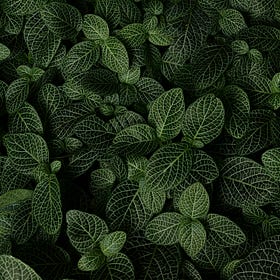 Translating Your PhD Skills Into a New Career | Ep. 19