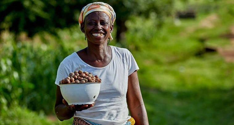 Celebrating the power of shea | Tree Aid