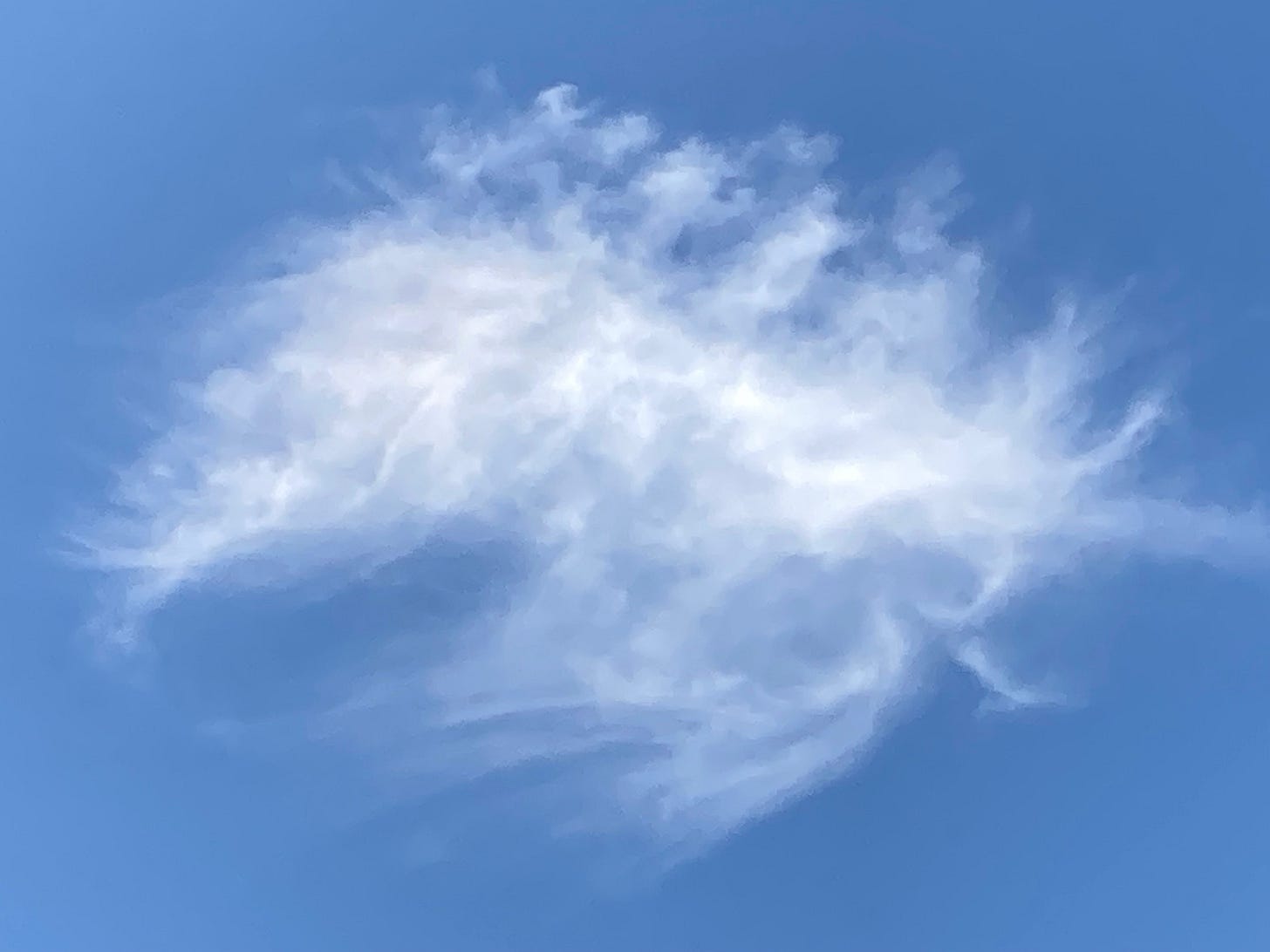 Lone Cloud, 2026-05-08