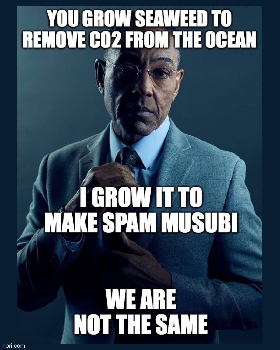 Gus Fring from Breaking Bad adjusting his tie. "You grow seaweed to remove CO2 from the ocean. I grow it to make Spam musubi. We are not the same."