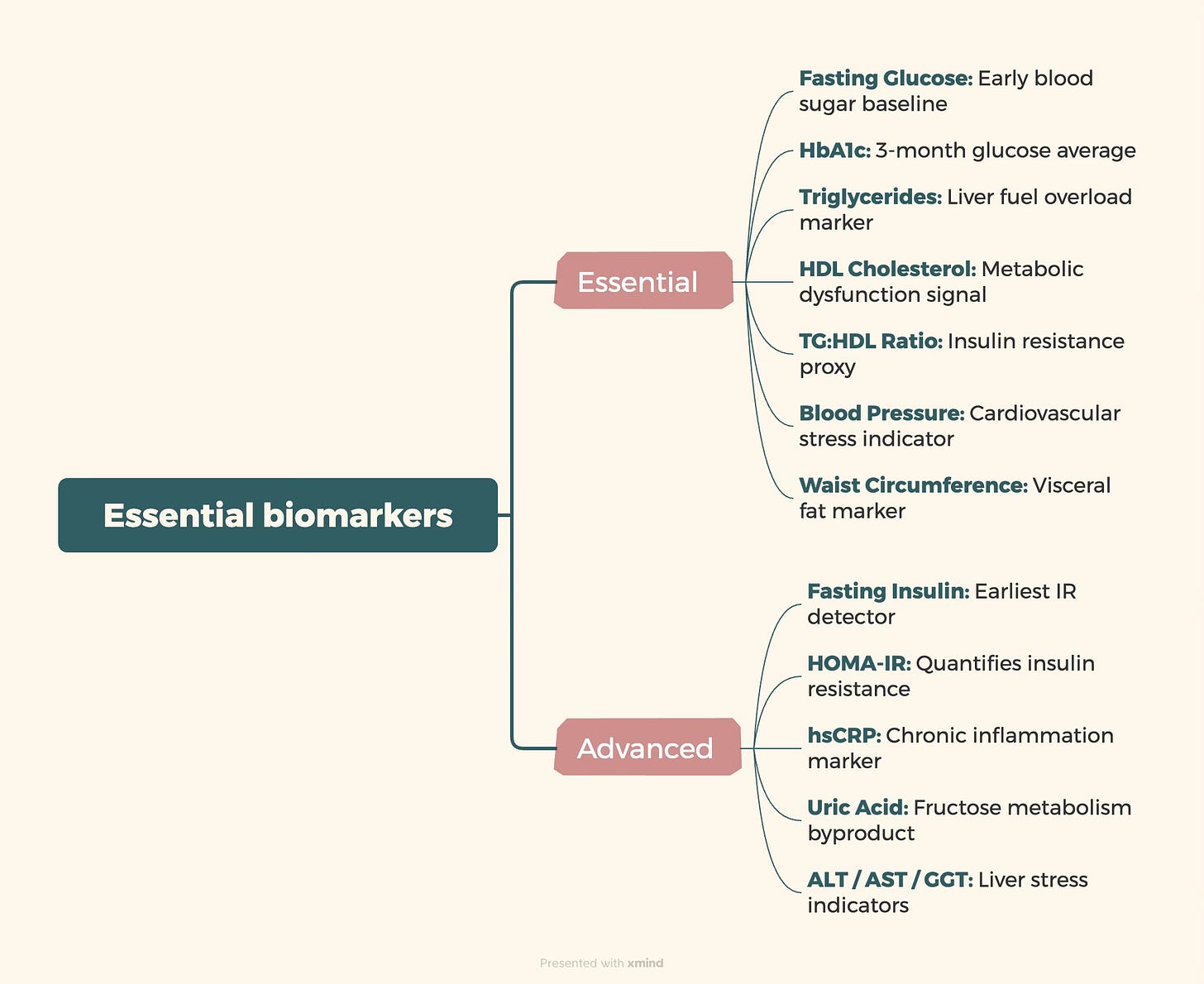 Mindmap showing 12 essential metabolic health biomarkers split into two tiers: Essential (fasting glucose, HbA1c, triglycerides, HDL, TG:HDL ratio, blood pressure, waist circumference) and Advanced (fasting insulin, HOMA-IR, hsCRP, uric acid, liver enzymes), each with a brief description of what it measures.