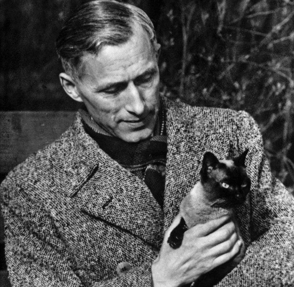 Actionszenen der Weltliteratur: Als Ernst Jünger mit einem Orden seinen  Sohn rettete - WELT